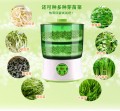 小農人芽苗機 豆芽機 自動家用 正品 雙層超大容量 110v出口電器